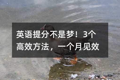 Ӣ�Z��ֲ��ǉ���3����Ч������һ����ҊЧ