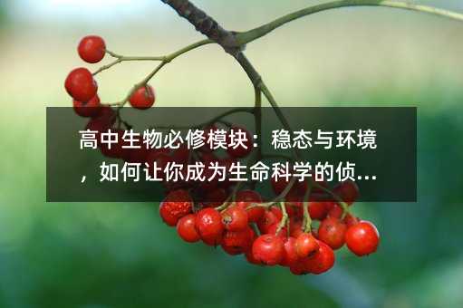 �����������ģ�K����(w��n)�B(t��i)�c�h(hu��n)�������׌��ɞ������ƌW(xu��)�Ă�̽��