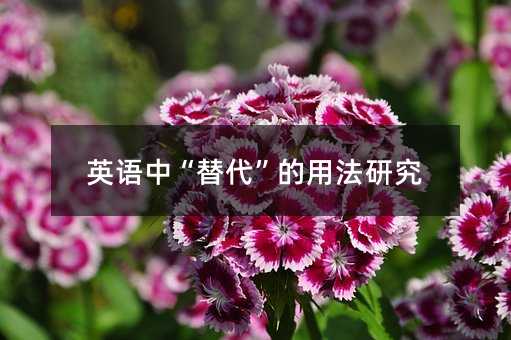 Ӣ�Z�С���������÷��о�