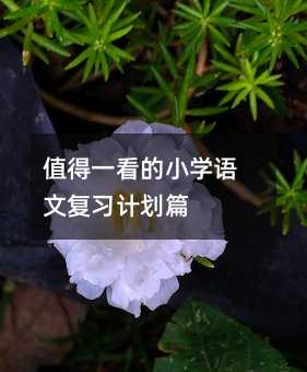 ֵ��һ����С�W�Z�ď���Ӌ��ƪ