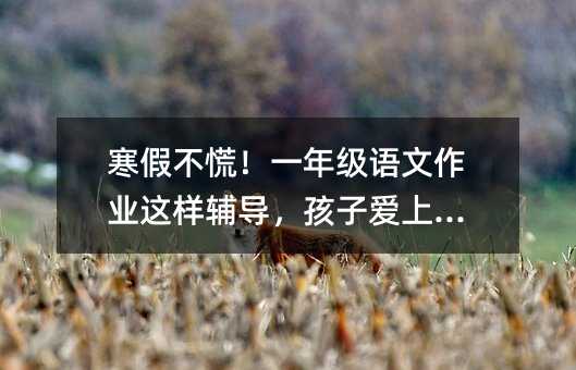 ���ٲ��ţ�һ�꼉�Z�����I�@���o�������Ӑ��όW��