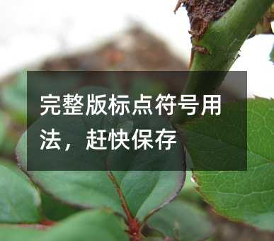 ��������c��̖�÷����s�챣��