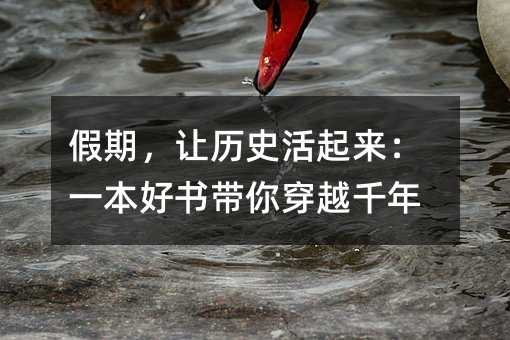 ���ڣ�׌�vʷ��������һ���Õ����㴩Խǧ��