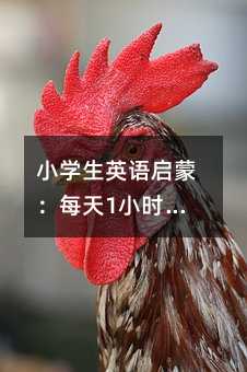 С�W��Ӣ�Z���ɣ�ÿ��1С�r��׌�������Ӑ���Ӣ�Z