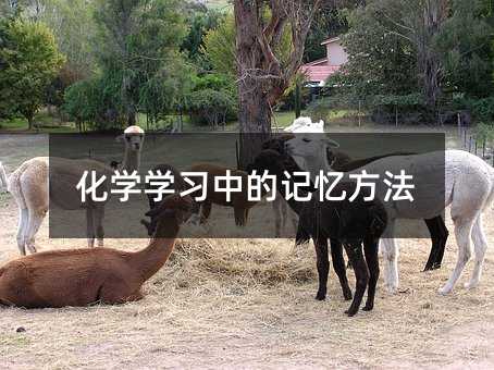 ���W(xu��)�W(xu��)��(x��)�е�ӛ������