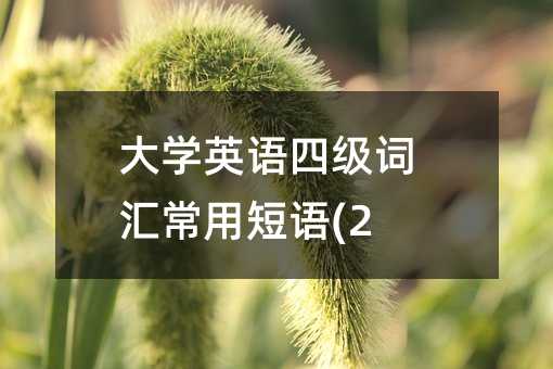 ��WӢ�Z�ļ��~�R���ö��Z(2)