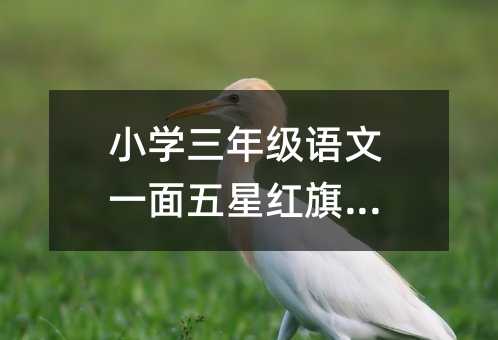 С�W(xu��)���꼉�Z��һ�����Ǽt��̰�