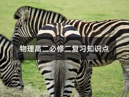 �����߶����޶�����֪�R�c