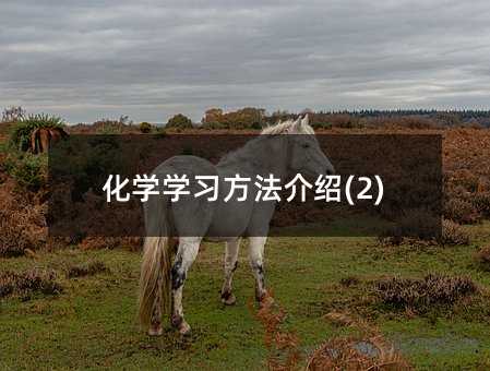 ���W�W��������B(2)