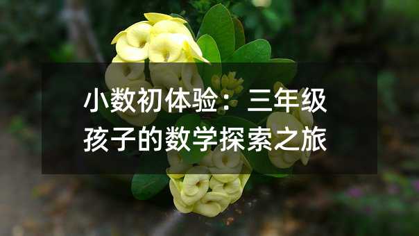 С�����w򞣺���꼉���ӵĔ��W̽��֮��