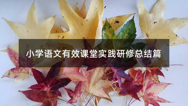 С�W�Z����Ч�n�Ì��`���޿��Yƪ