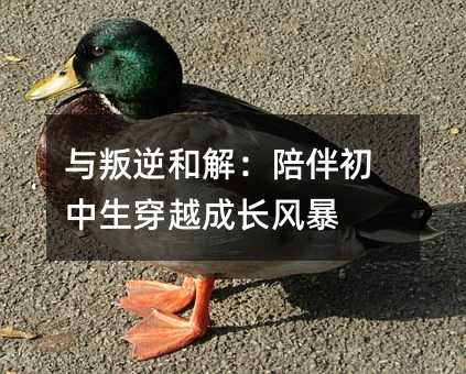 �c����ͽ⣺����������Խ���L�L��