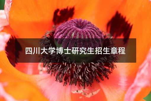 �Ĵ���W��ʿ�о��������³�