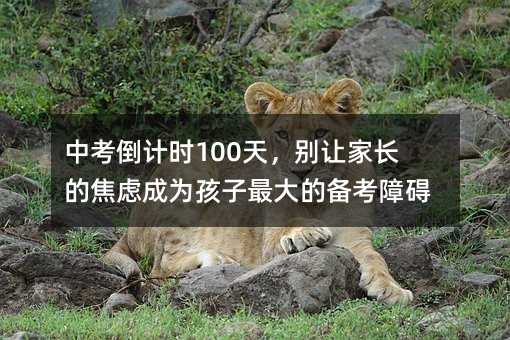 �п���Ӌ�r100�죬�e׌���L�Ľ��]�ɞ麢�����Ă俼�ϵK