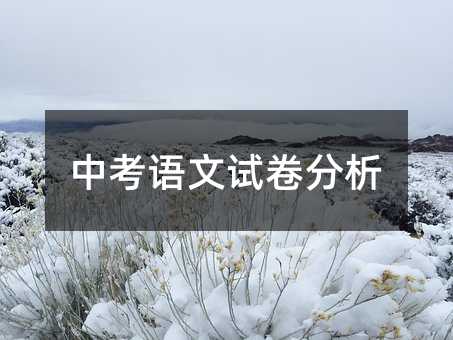 �п��Z(y��)��ԇ������