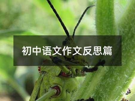 �����Z�����ķ�˼ƪ