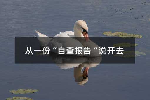 ��һ�ݡ��Բ��(b��o)�桰�f�_ȥ