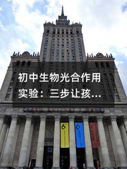 �������������Ì�(sh��)�(y��n)������׌���Ӑ��ϿƌW(xu��)̽��