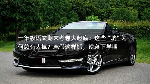 һ�꼉�Z����ĩ��������ף��@Щ���ӡ���ο����˵��������@��ץ�����u�W(xu��)��