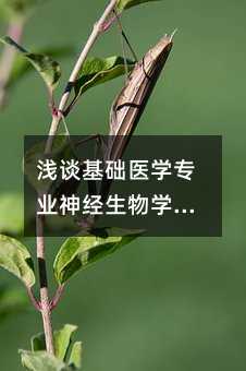 �\Մ���A�t�W���I������W�̌W�w��