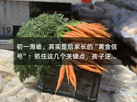 ��һ���£��䌍(sh��)�ǽo���L(zh��ng)�ġ��S����̖(h��o)����ץס�@�ׂ�(g��)�P(gu��n)�I�c(di��n)���������L(f��ng)���P