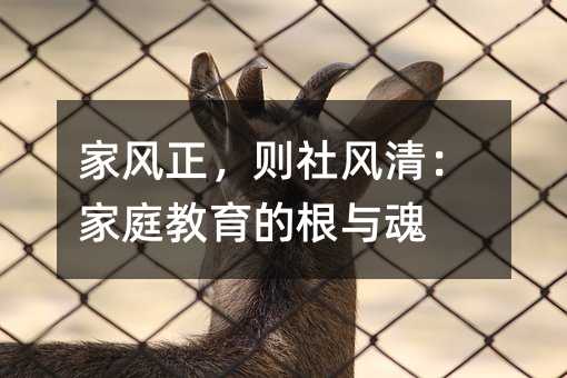 ���L�����t���L�壺��ͥ�����ĸ��c��