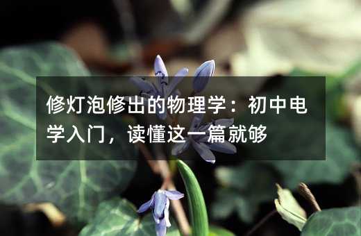 �ޟ����޳�������W������늌W���T���x���@һƪ�͉�