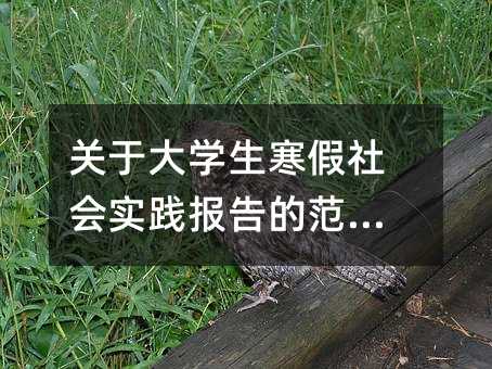 �P(gu��n)�ڴ�W(xu��)������������`���ķ���ƪ