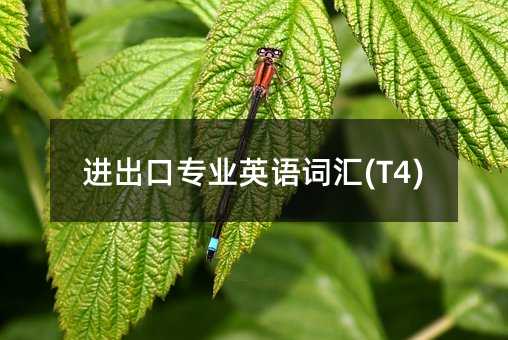 �M���ڌ��I(y��)Ӣ�Z�~�R(T4)