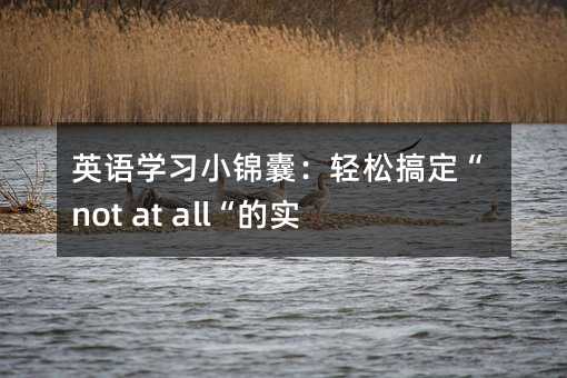 Ӣ�Z�W��С�\�ң��p�ɸ㶨��not at all���Č��ü���