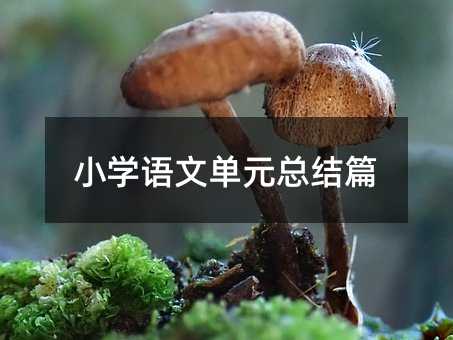 С�W�Z�Ć�Ԫ���Yƪ