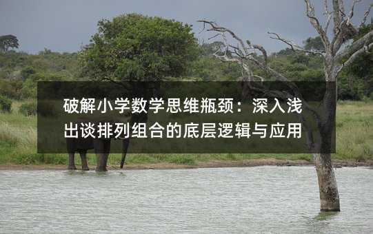 �ƽ�С�W���W˼�Sƿ�i������\��Մ���нM�ϵĵ׌�߉݋�c����