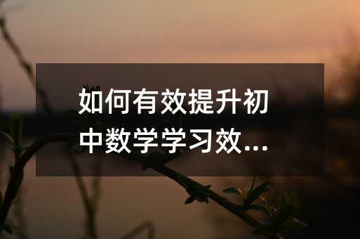 �����Ч�������Д�(sh��)�W(xu��)�W(xu��)��(x��)Ч����