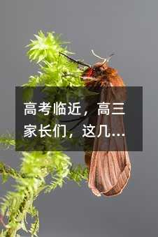 �߿��R�����������L�����@���(xi��ng)��(zh��n)�乤����Ҫ����(d��ng)����