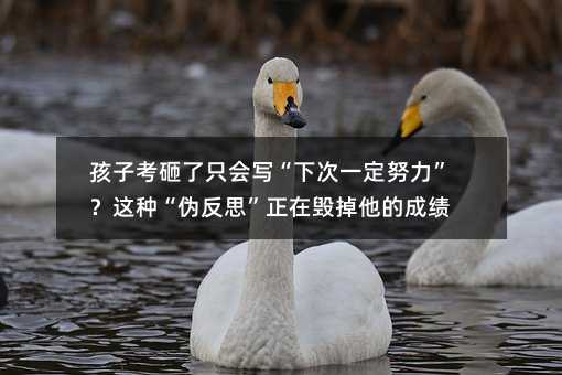 ���ӿ�����ֻ�������´�һ��Ŭ�������@�N���η�˼�����ښ������ĳɿ�