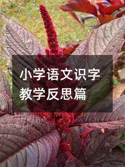 С�W�Z���R�ֽ̌W��˼ƪ