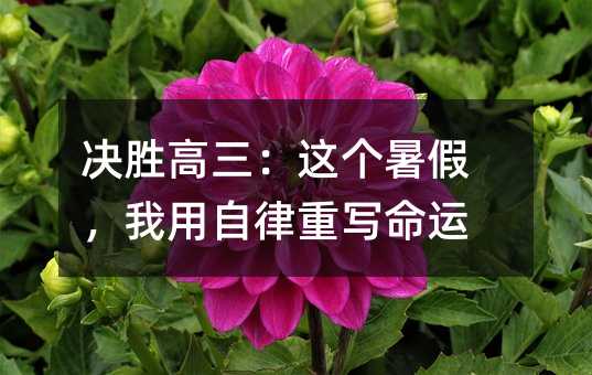 �Q�ٸ������@��(g��)��٣����������،����\(y��n)