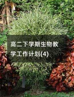 �߶��W(xu��)������̌W(xu��)����Ӌ��(4)