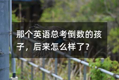 �ǂ�Ӣ�Z���������ĺ��ӣ������ô������