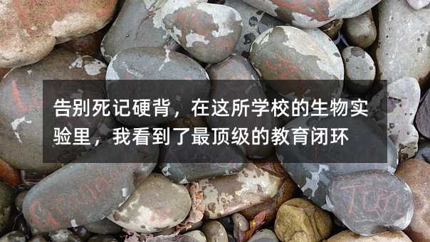 ��e��ӛӲ�������@���W(xu��)У�����(sh��)�(y��n)��ҿ�������피��Ľ����]�h(hu��n)