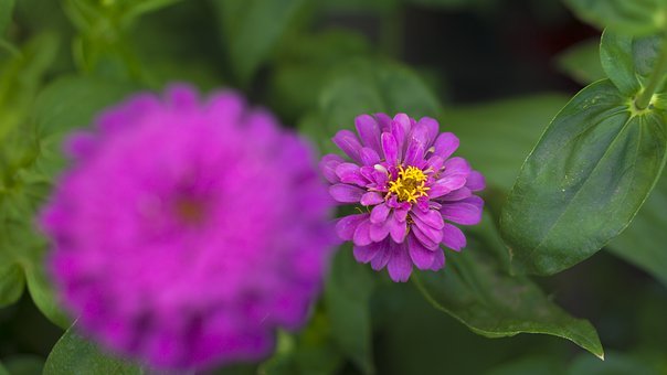 �^���˷�����һ������ļҽ��ώ���ԓ��ô�ͼ��L���õ���ϣ�