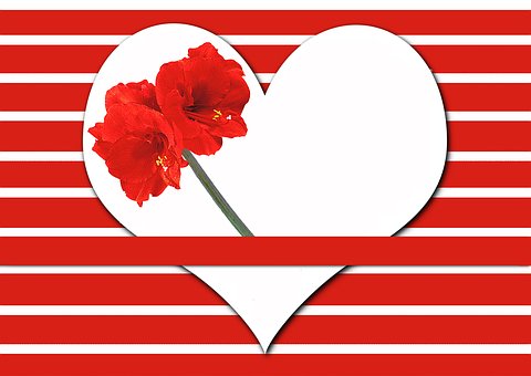 教育中孩子太任性固執的解決辦法