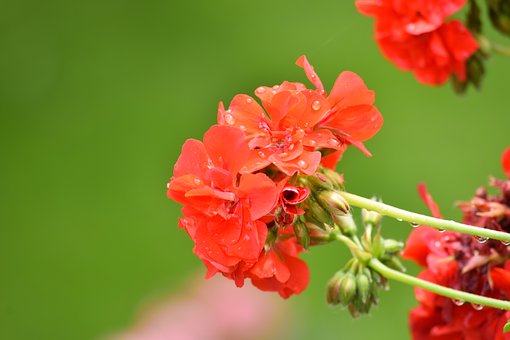 �������Ӳ����όW(xu��)��ô�k