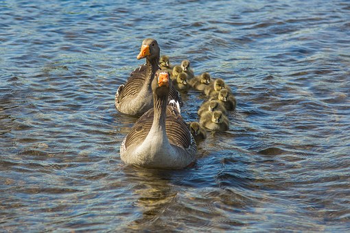 父親的行為對孩子成長的深遠影響