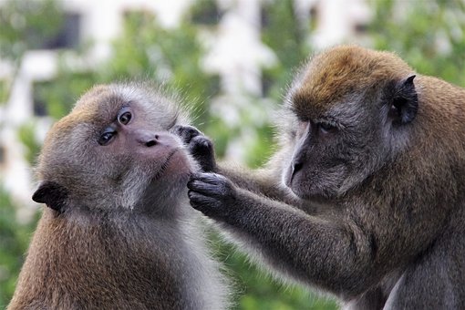 �������Cָ���e�`