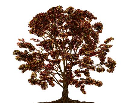 到學(xué)期結(jié)束,果然讓父親說中了,這時...