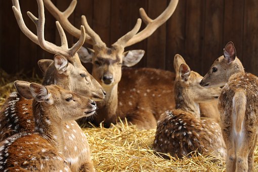 25���������Ӕ��ȴ������Ӕ���3����Ԫ...