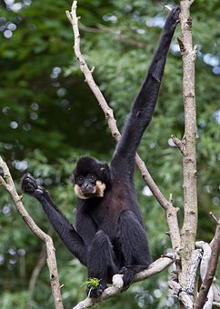 了解孩子沉迷網(wǎng)絡游戲的原因