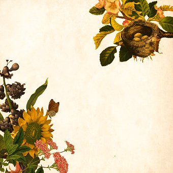 (dng)Ӱl(f)F(xin)ԼĳЩͻ...