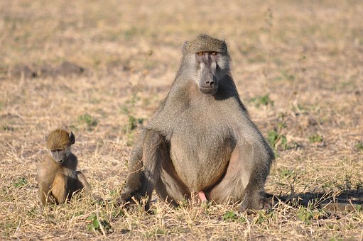 ●做個平衡補償